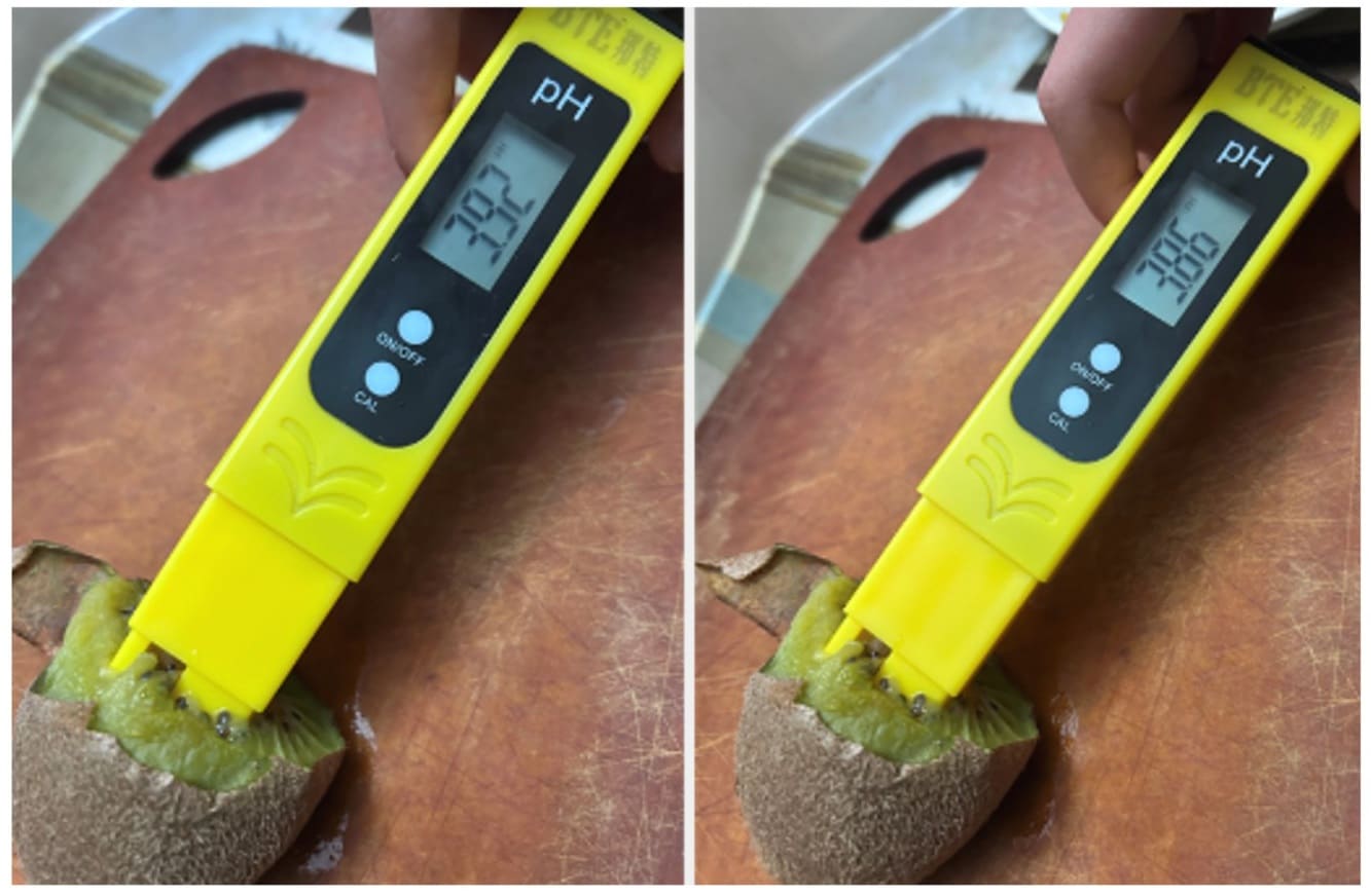 Food safety sensor prototype